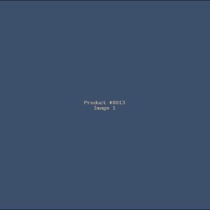 Example Product 8013