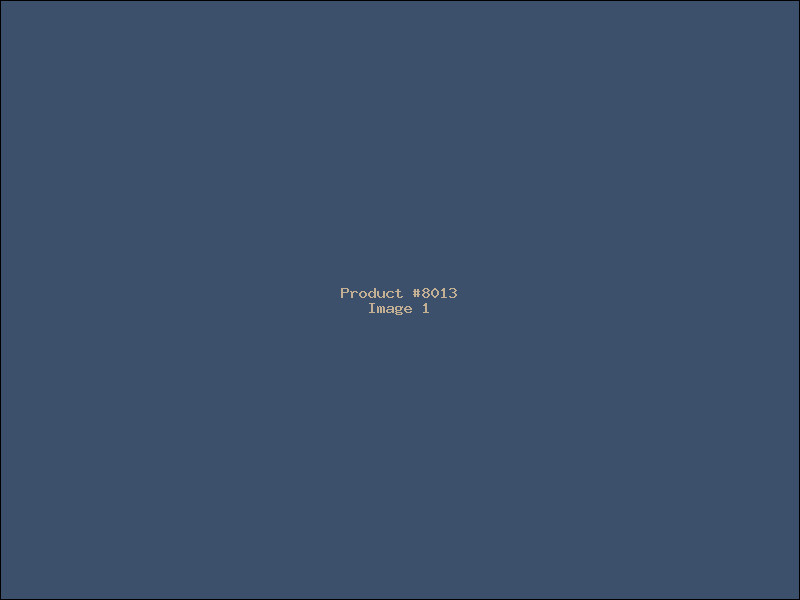 Example Product 8013
