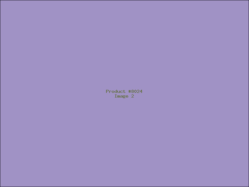 Example Product 8024 - Image 2