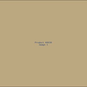 Example Product 8038