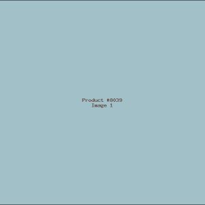 Example Product 8039