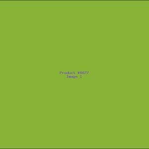 Example Product 8077