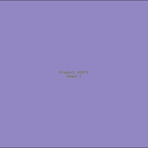 Example Product 8079