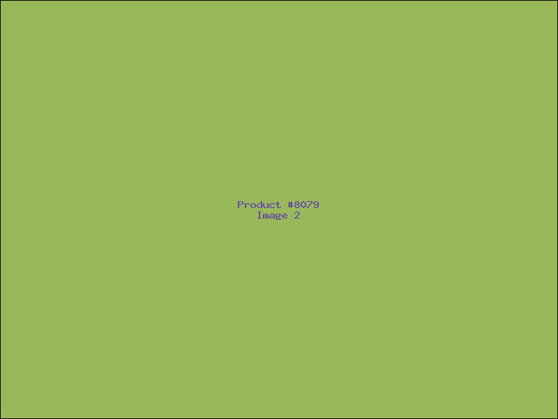 Example Product 8079 - Image 2