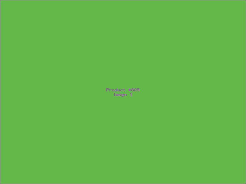 Example Product 809