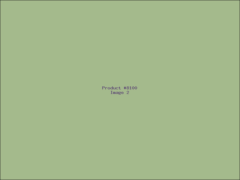 Example Product 8100 - Image 2