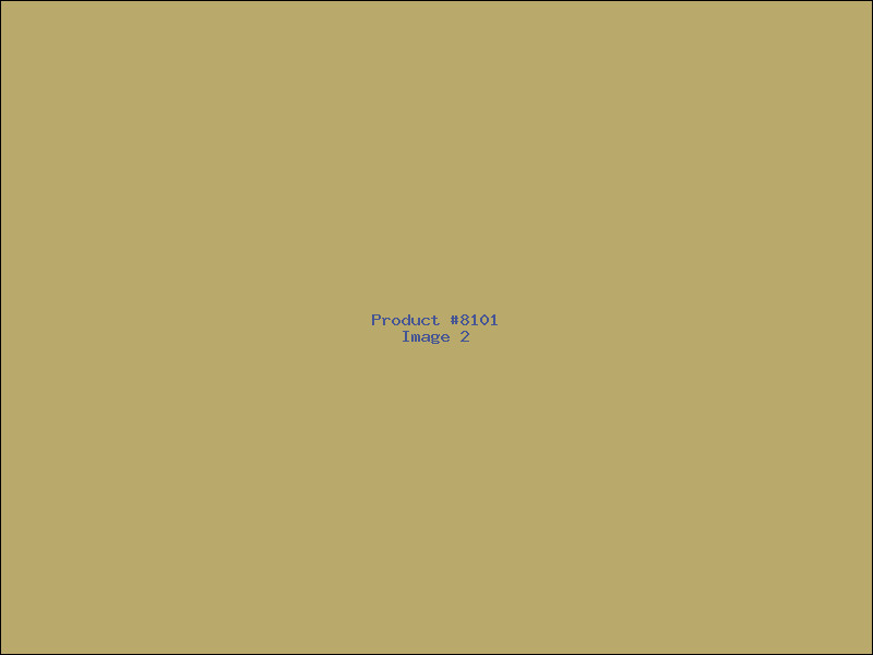 Example Product 8101 - Image 2