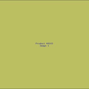 Example Product 8103