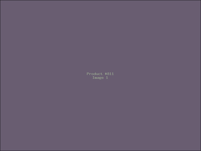 Example Product 811