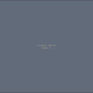 Example Product 8110
