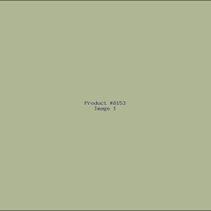 Example Product 8153