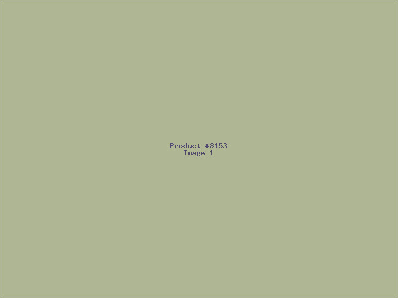 Example Product 8153