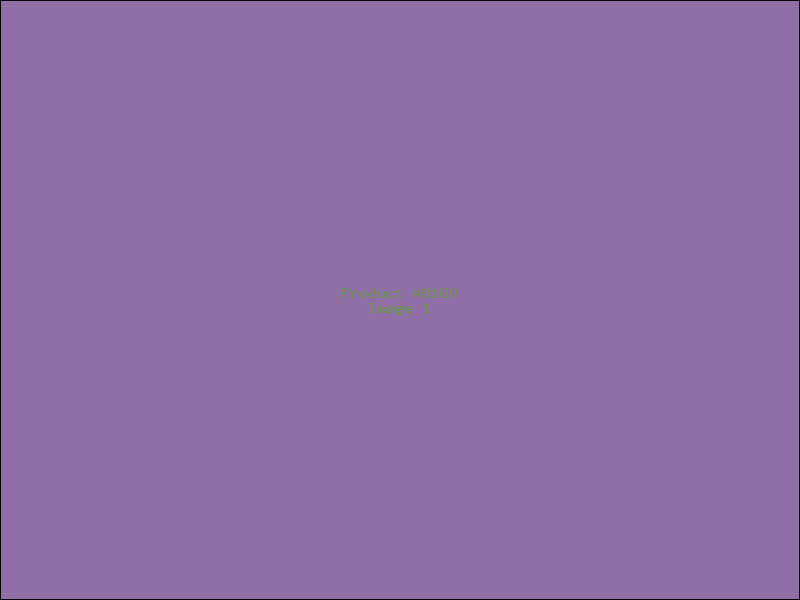 Example Product 8160