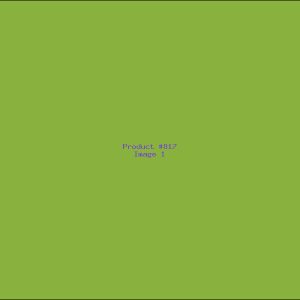 Example Product 817