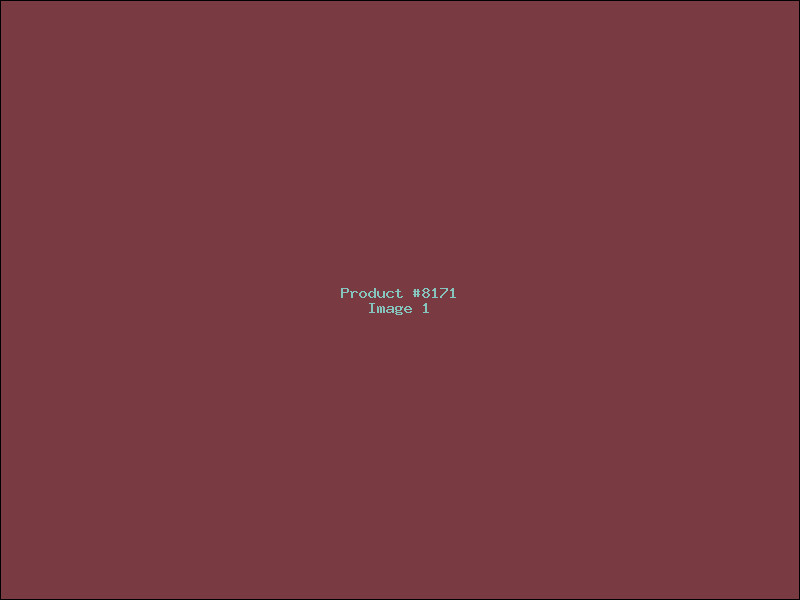 Example Product 8171