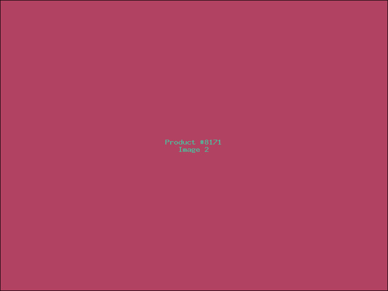 Example Product 8171 - Image 2
