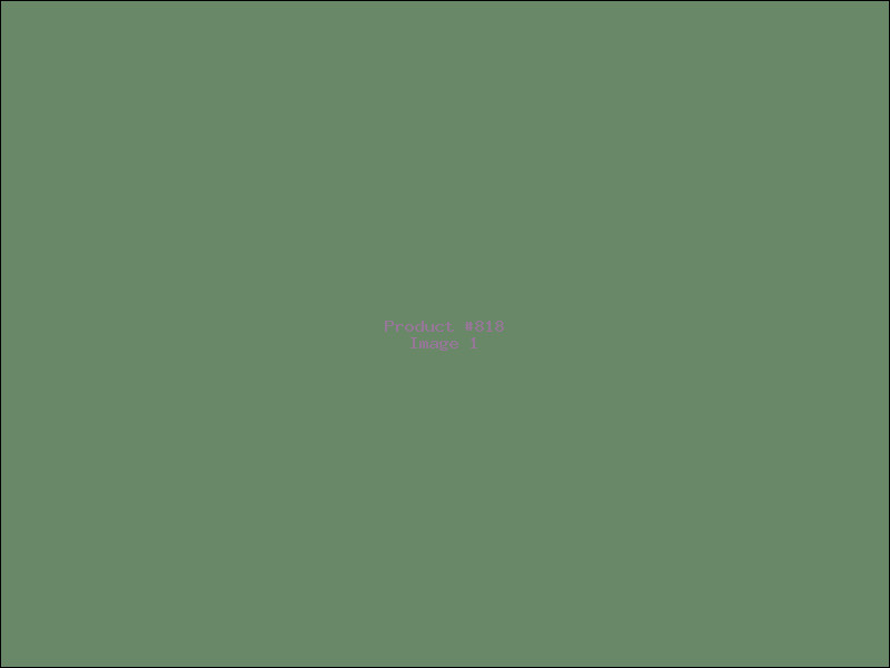 Example Product 818