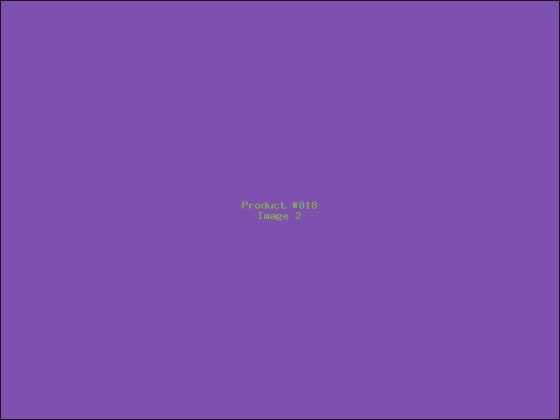 Example Product 818 - Image 2