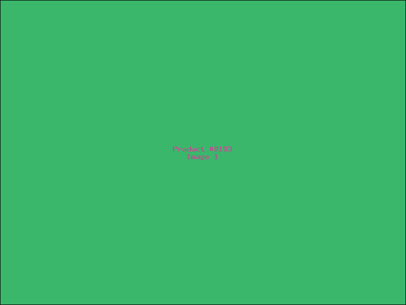 Example Product 8193