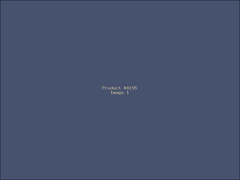 Example Product 8195