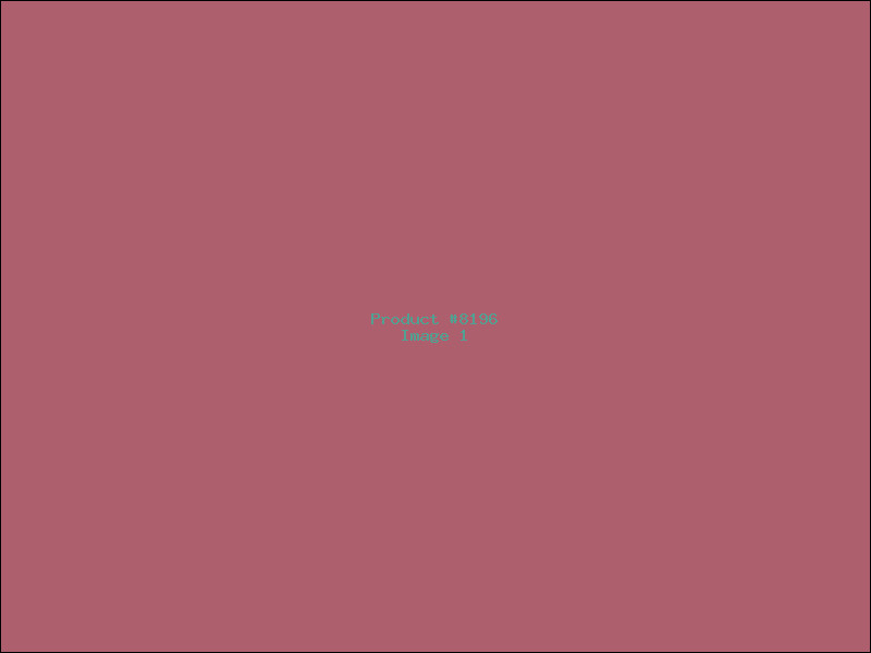 Example Product 8196