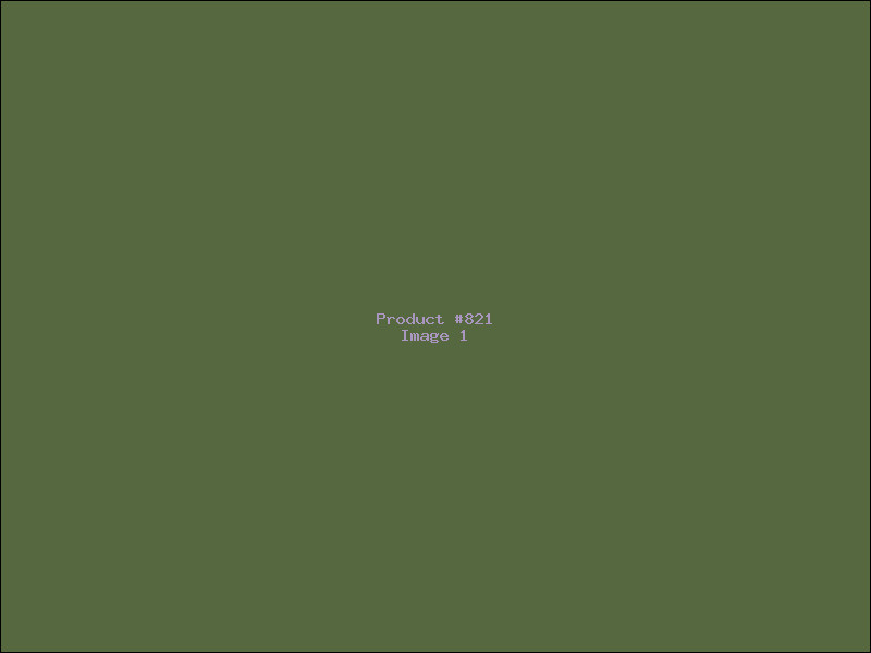 Example Product 821