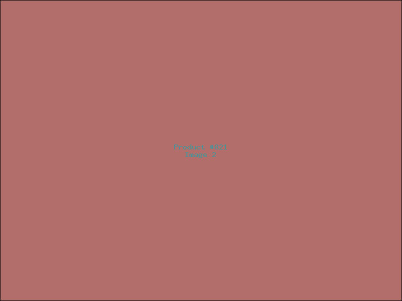 Example Product 821 - Image 2