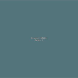 Example Product 8220