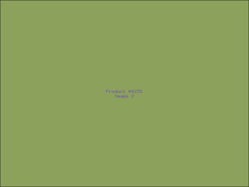Example Product 8225 - Image 2