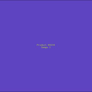Example Product 8234