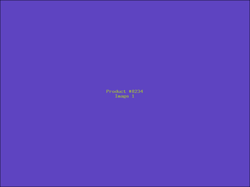Example Product 8234