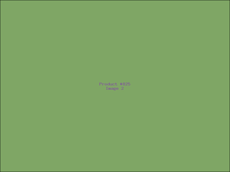 Example Product 825 - Image 2