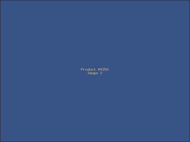 Example Product 8250 - Image 2