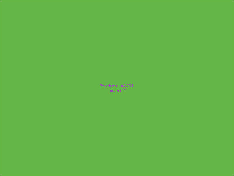 Example Product 8251 - Image 2