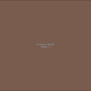 Example Product 8255
