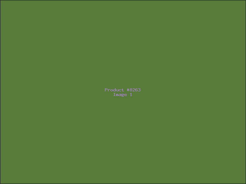 Example Product 8263