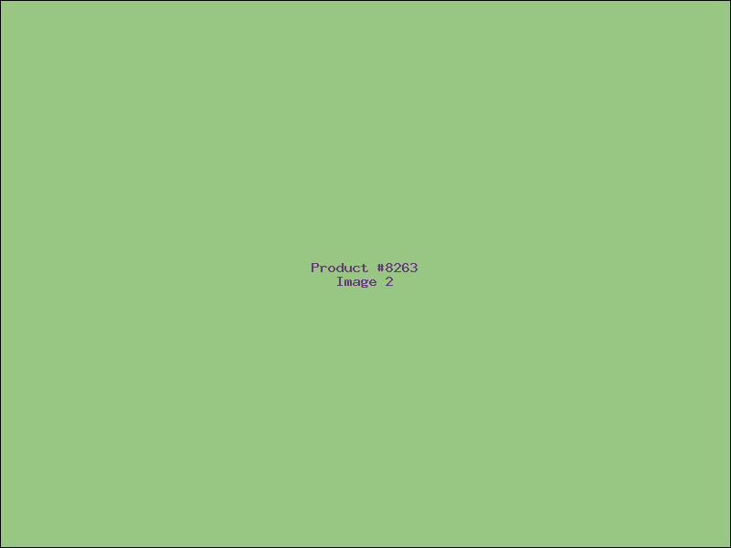Example Product 8263 - Image 2
