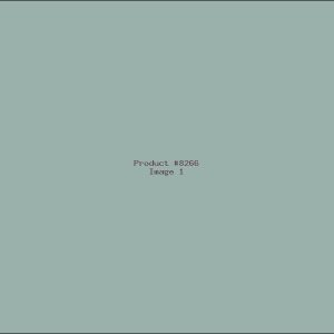 Example Product 8266