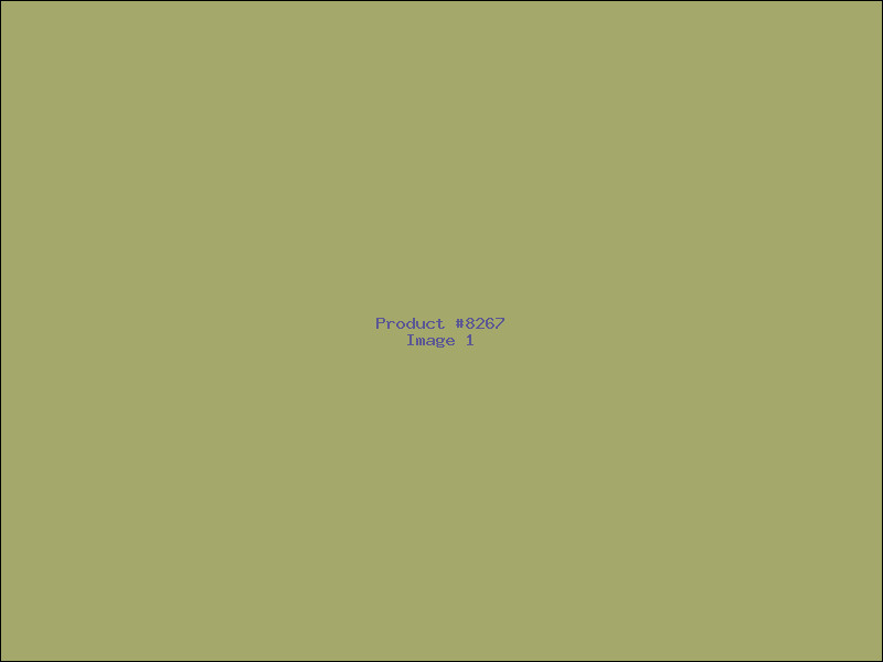Example Product 8267