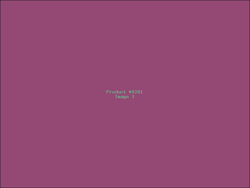 Example Product 8281