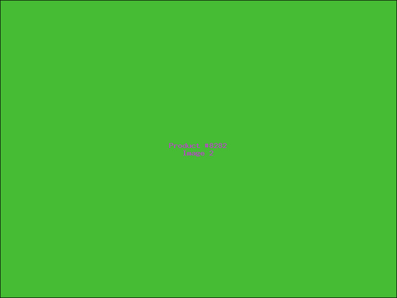 Example Product 8282 - Image 2