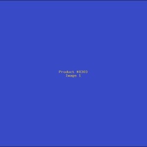 Example Product 8303