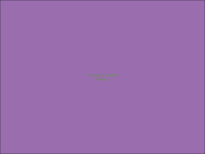 Example Product 8304 - Image 2