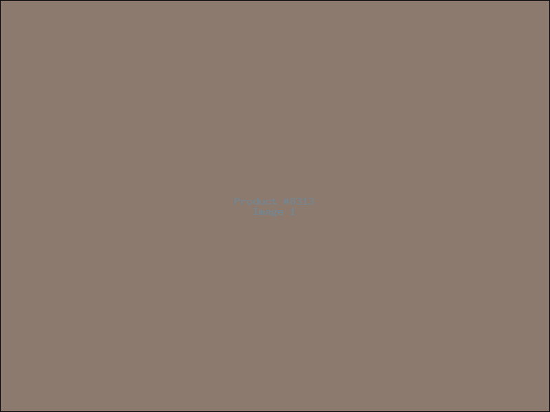 Example Product 8313