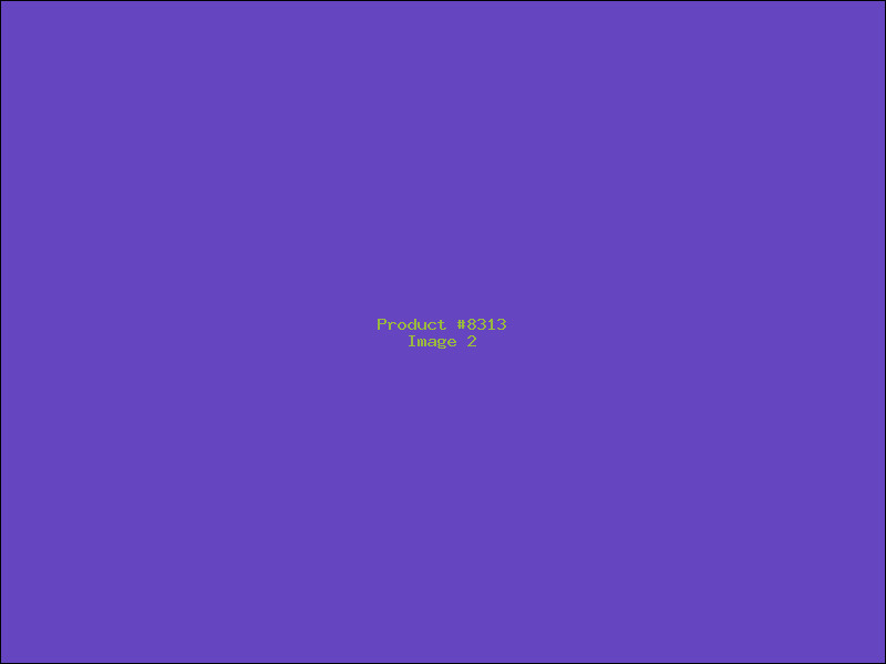Example Product 8313 - Image 2