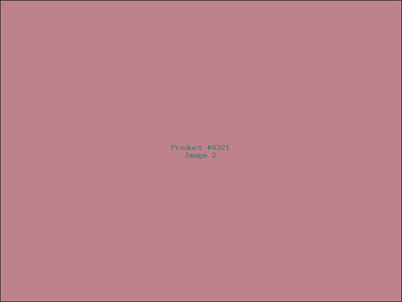 Example Product 8321 - Image 2