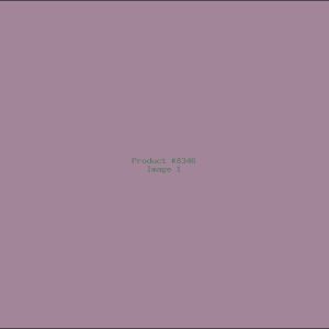 Example Product 8346