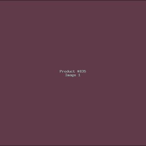 Example Product 835