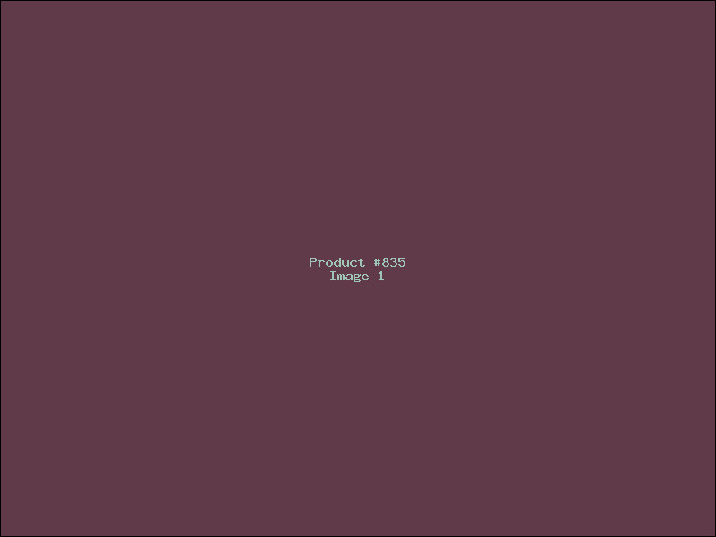 Example Product 835