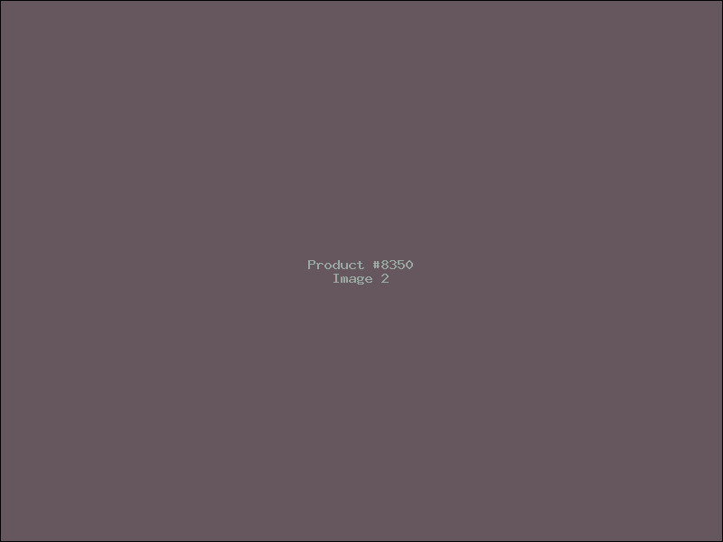 Example Product 8350 - Image 2